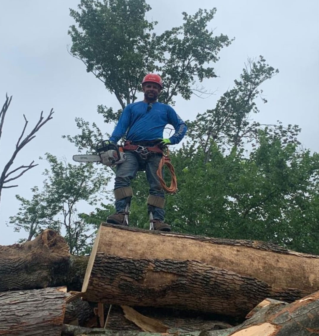 tree-removal-service-near-me-morristown